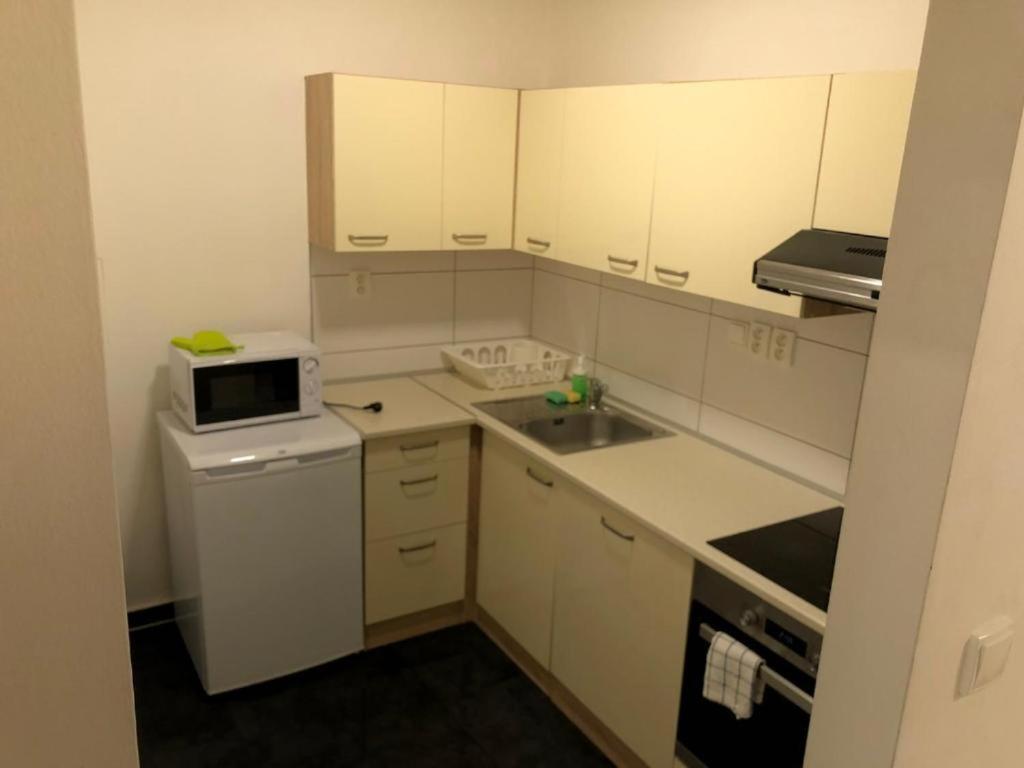 Apartament Apartmans In The Center With Privat Parking Brno Zewnętrze zdjęcie